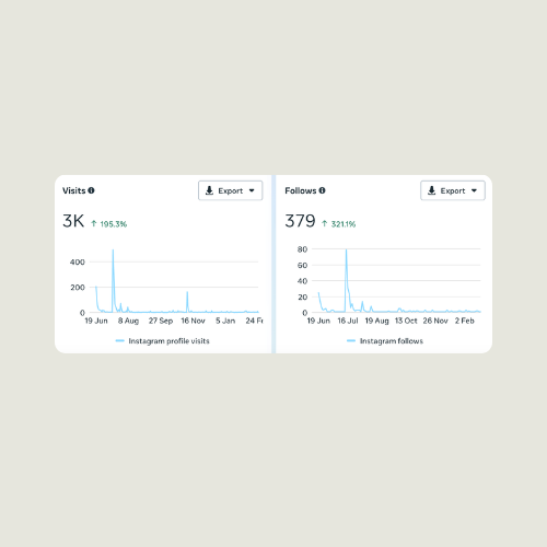 Two graphs showing 'Visits' and 'Follows' on a light gray background