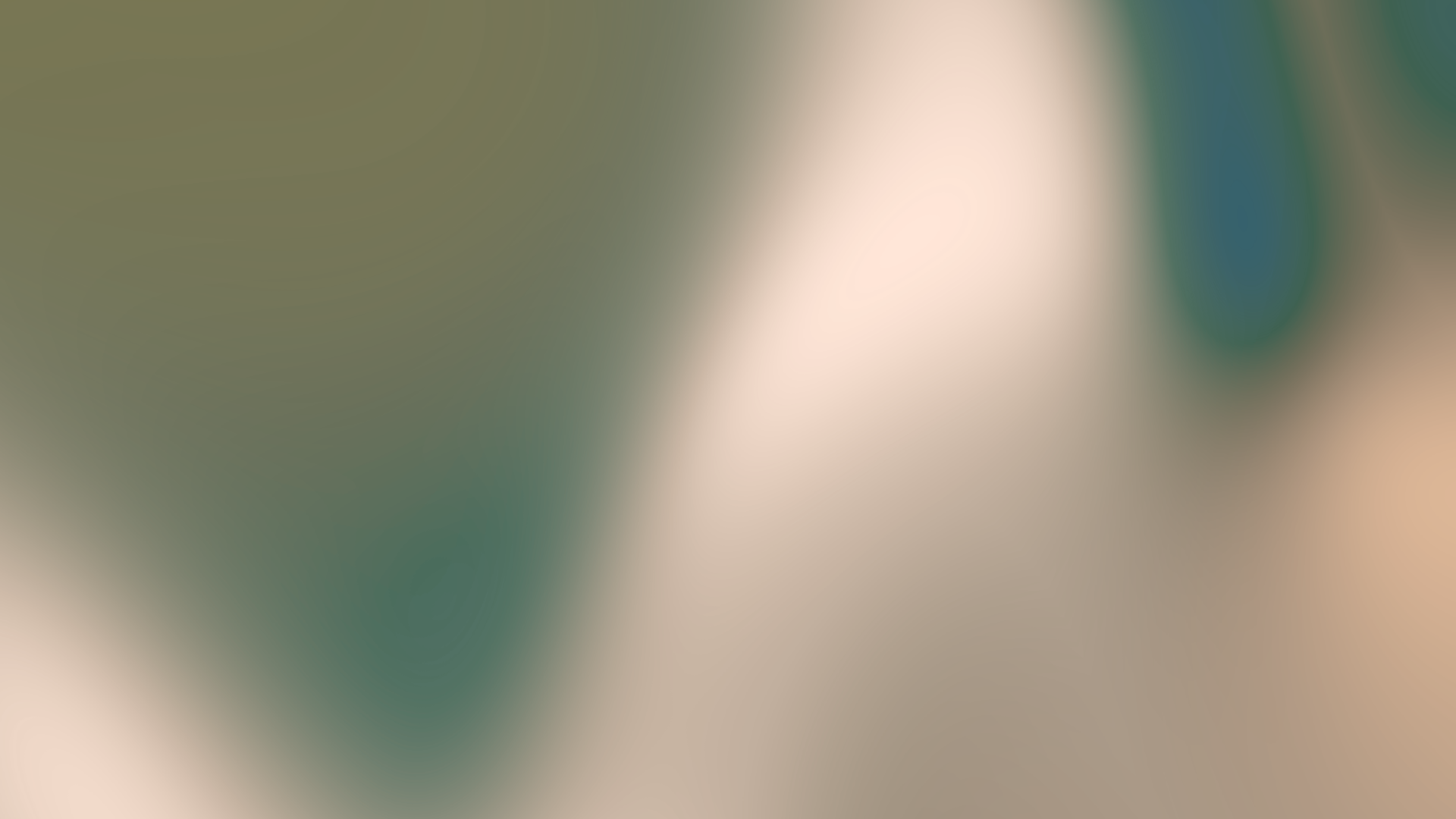 Blurred image with soft focus