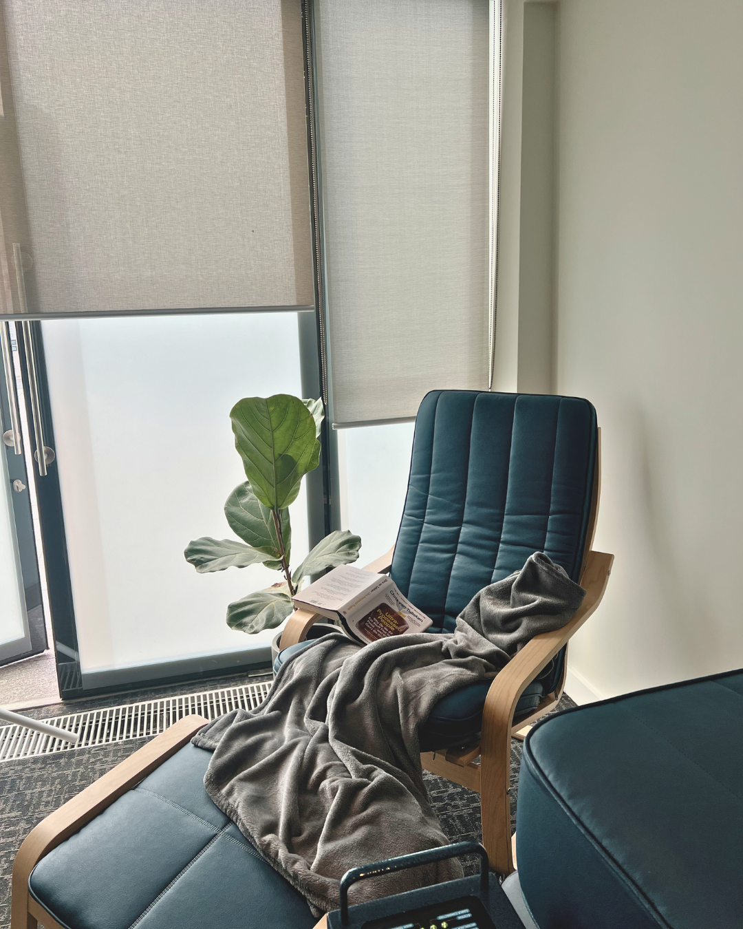 Blue cushioned chair with a gray blanket and a plant in an office setting